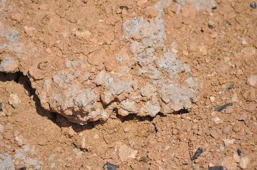 Terra seca