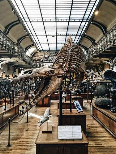 Museu Arqueológico