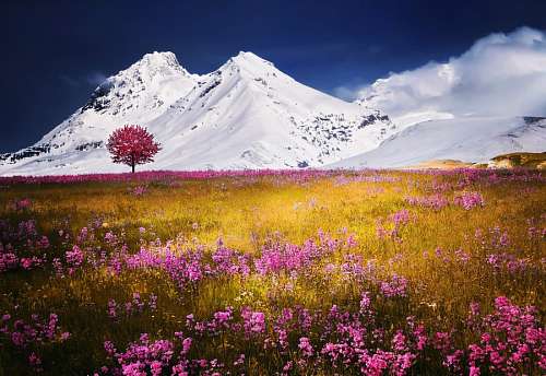 montanhas nevadas Alpes