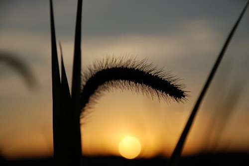Pôr do sol no campo