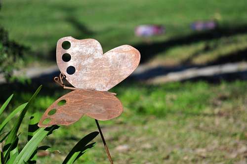 Borboleta estanho