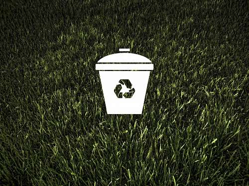 sustentabilidade Ecologia e Meio Ambiente