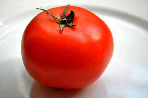 healthy Tomate