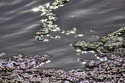Reflexão da água