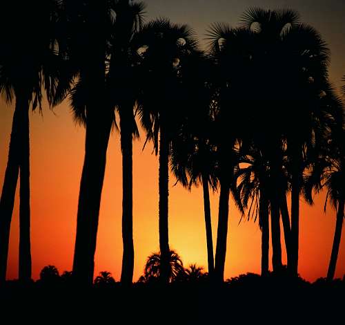 Palmar Entre Rios, Argentina