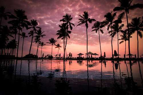 Paisagem de piscina com palmeiras tropicais ao pôr do sol