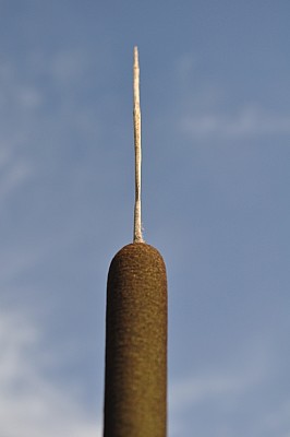 p12062014 