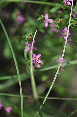 p12062014 