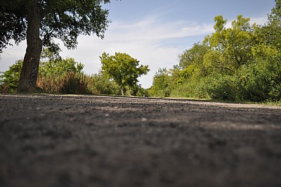 p12062014 