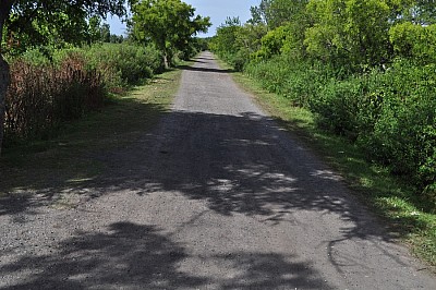 p12062014 