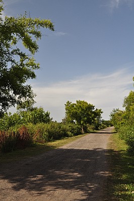 p12062014 