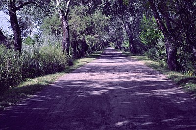 p12062014 