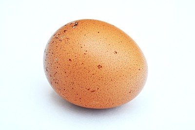 Ovo de colorado