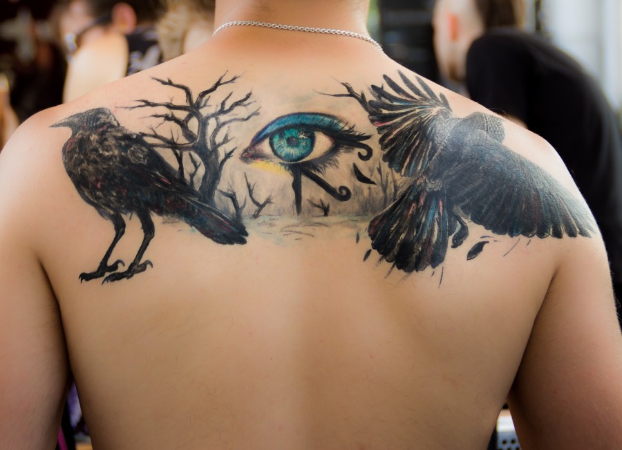 tatuagem, cavar, olho, preto, cor, gótico, fotos grátis, imagens grátis, pássaros, corvo, horus olho, costas, homem, jovem, menino, macho