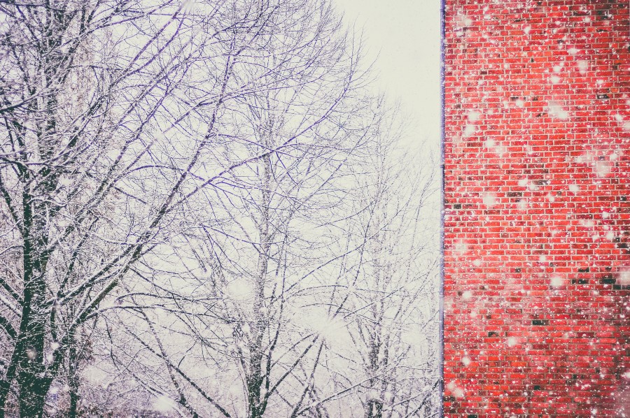 paredes, tijolos, inverno, vermelho, tijolo, arquitetura, parede, árvore, neve, nevado, ninguém,