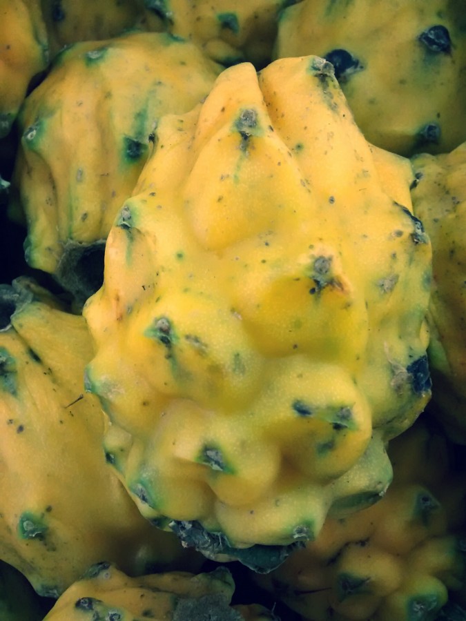 Pitaiaiás, frutas, tropical, Equador, América, latim, latim,