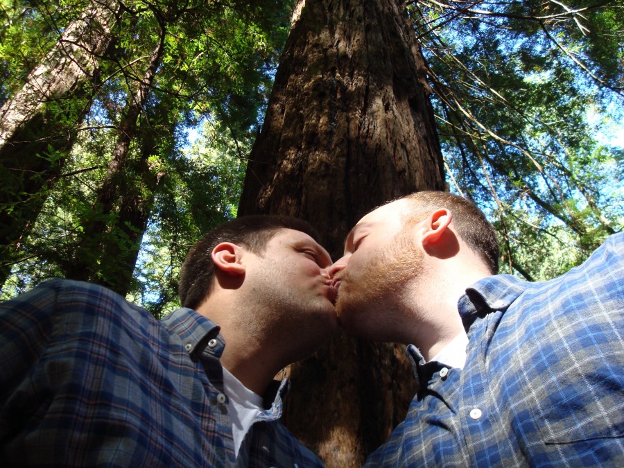 beijo, beijando, homens, jovens, dois homens, árvore, verde, duas pessoas, homens, homens, casal, homossexualidade, gay, sexo, sexualidade, mesmo sexo, amor, gênero igualdade, passeio, correndo, juntos, no amor, namorados , Homens gays fotos, imagens grátis, fotos grátis, imagens gays grátis, imagens de gays