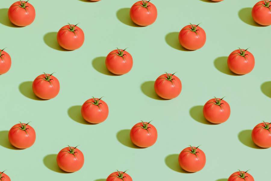 tomate, maduro, plano de fundo, fresco, vegetal, alimentos, vermelho, orgânico, saudável, closeup, cru, vegetariano, grupo, verde, isolado, ingrediente, macro, natureza, planta, suculento, folha, agricultura, branco, natural, cor, tomates, dieta, jardim, nutrição, saúde, frescor, fruta, colheita, água, mercado, gota, saboroso, caminho, tomate isolado, cultivo, comer, molhado, muitos, produzir, salada, topo, vitamina, verão, tomate, comer