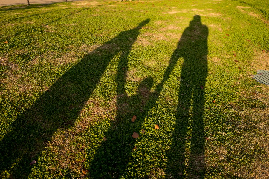 família, sombra, três, pessoas, parque, ao ar livre, fora, sombras, criança, pai, mãe, passeio,
