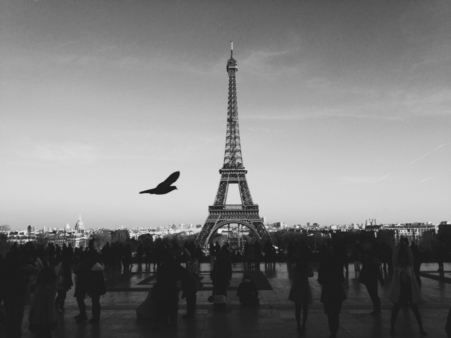 frança, europa, monumento, cidade, capital, paris, torre, eiffel, preto e branco,