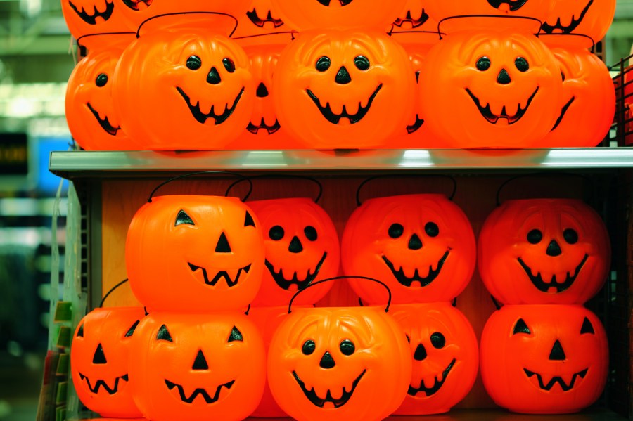 plano de fundo, plano de fundo, cores, cor, colorido, abóbora, abóboras, sorriso, halloween, festa, celebração, decoração, celebração,