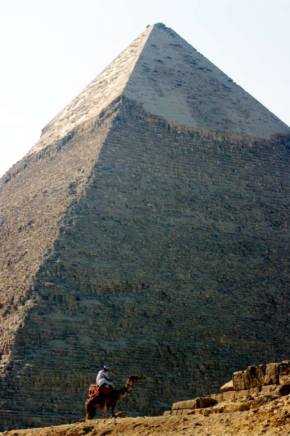 man, riding, cemello, Great, Pyramid, Giza, Egypt, Culture, Landmard, Famous Place,
