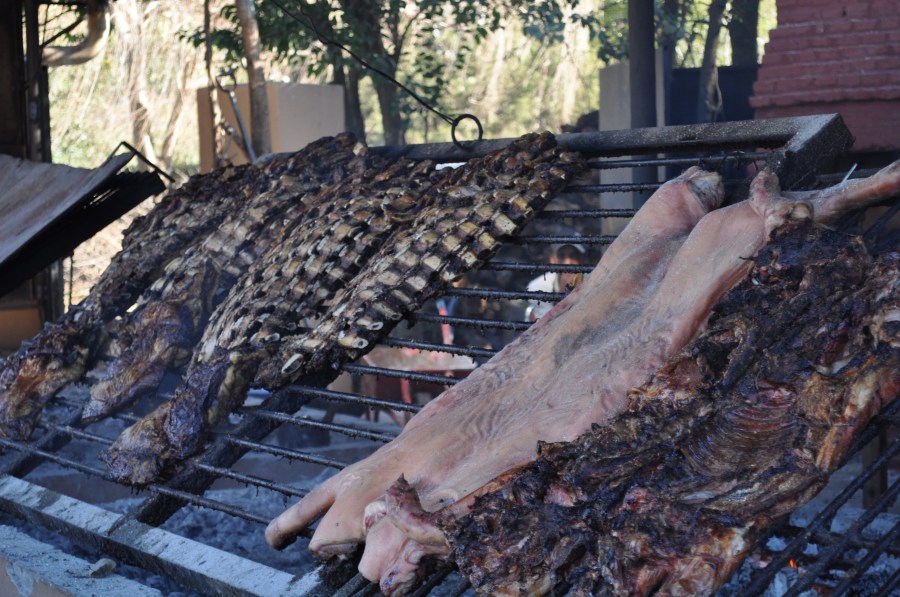 Assado, Grelha, Grelha, Comida Típica, Tradição, Campo, Carne, Costela, Ribs, EmbersCozinhar, Quente, Gordura, Tiros Jofre