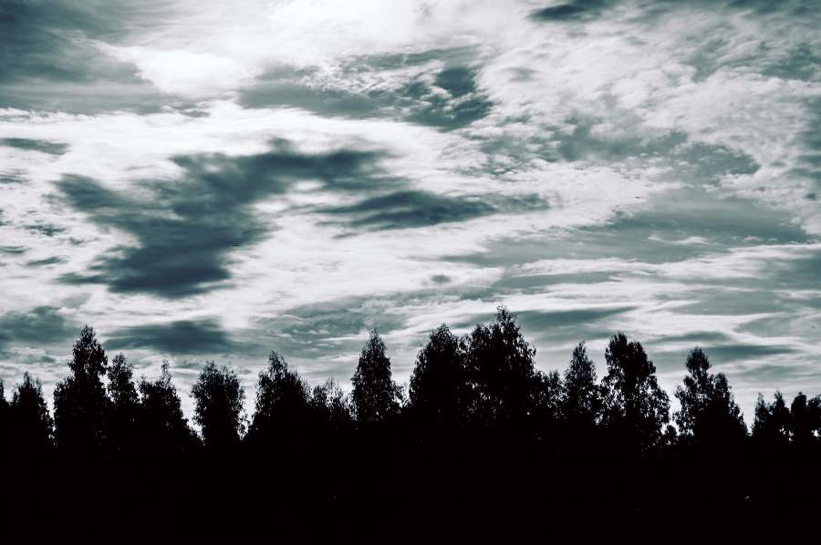 natureza, árvore, tempestade, céu, paisagem, silhueta, 4k Vetor