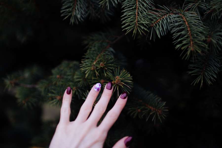 Mão, Árvore, Roxo, unha, unhas, Mulher, Evergreen, Pinheiro, unha do dedo, Esmalte de unhas, Manicura, Dedo, Esmalte