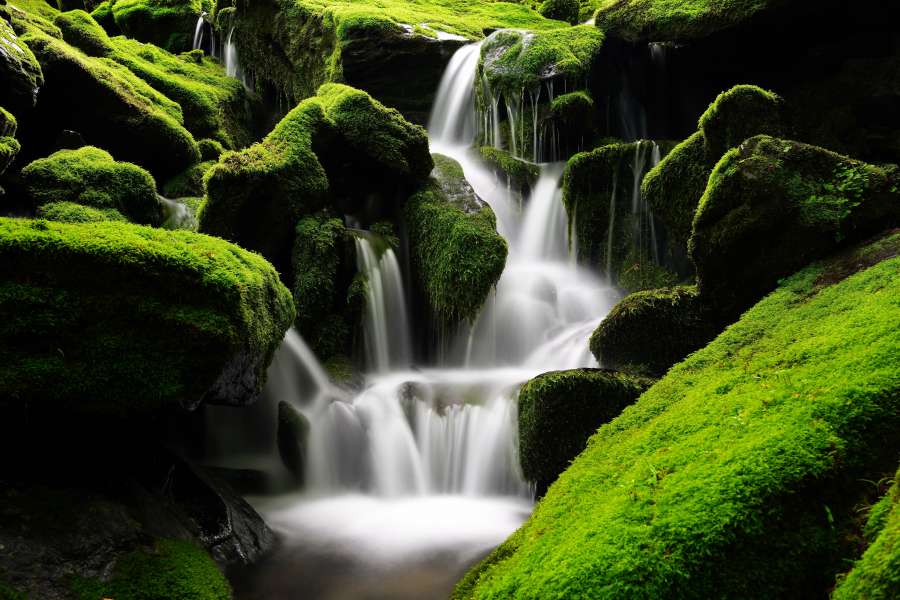 floresta, cachoeira, musgo, natureza, verde, paisagem, riacho, árvore, fresco, bonito, rio, água, parque, primavera, natural, rocha, viagem, planta, plano de fundo, pedra, folha, cascata, meio ambiente, panorâmico, verão, queda, selva, ao ar livre, fluindo, tropical, ao ar livre, molhado, montanha, selvagem, jardim, folhagem, movimento, madeira, floresta tropical, nacional, riacho, papel de parede, cenário, musgoso, grama, flora, férias, cor, paraíso, frescor
