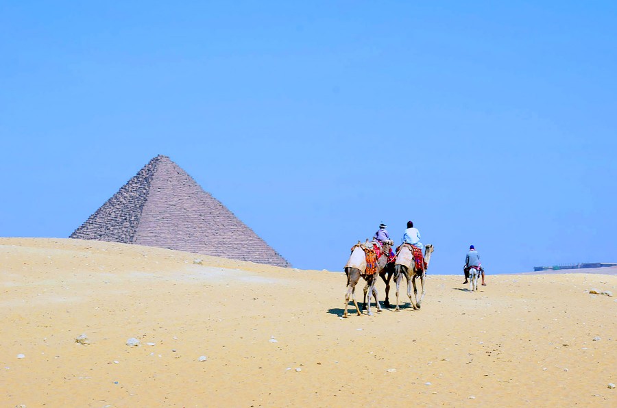pirâmide, pirâmides, egito, dia, arqueologia, arquitetura, antiguidade, civilização, ruína, ruínas, paisagem, maravilha, maravilhas do mundo, áfrica, deserto, camelo,
