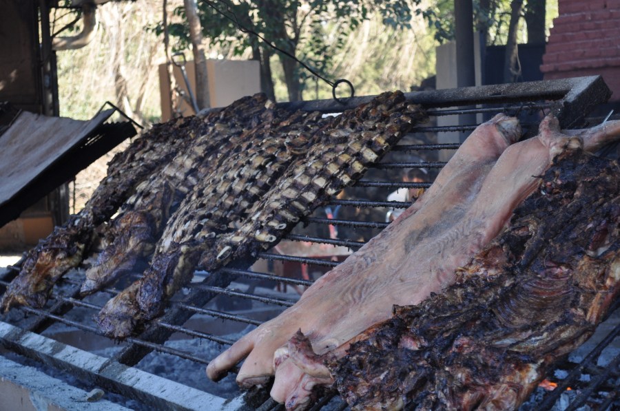Assado, Grelha, Grelha, Comida Típica, Tradição, Campo, Carne, Costela, Ribs, EmbersCozinhado, Quente, Gordura