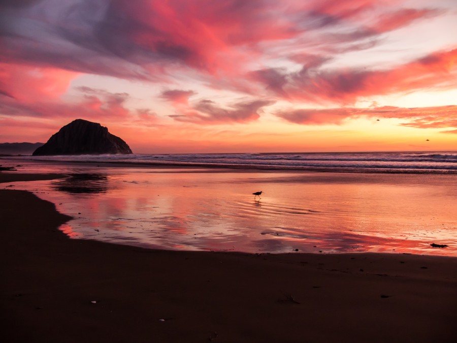 Costa, praia, morro, avermelhada, tero, reflexão, pôr do sol, pôr do sol, pôr do sol, paisagem, eua, eua,