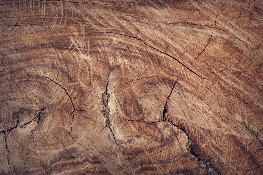 marrom, close-up, wallpapers hd, superfície, textura, madeira, close-up, natural, natureza, tronco, árvore, wallpapers hd livre