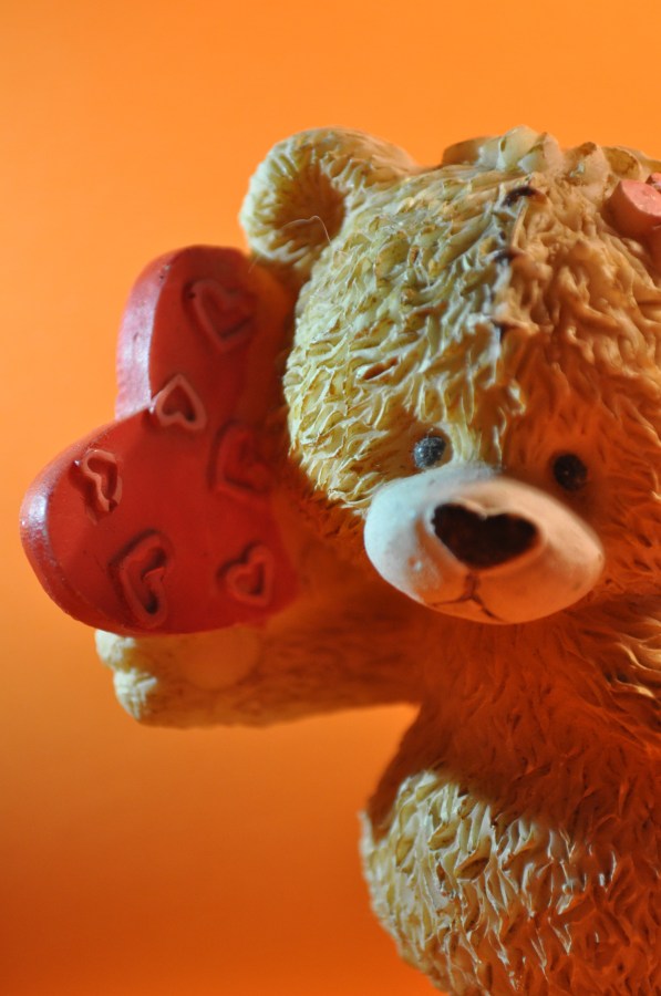 bear, amor, objeto, concept, coração, proposta, proposta, fofos, dom,