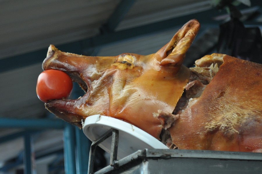 refeições, carne de porco, porco, maçã, cozinheiro, carne, prato, típico, equador, cozimento, américa, latin, latin, interior, mercado, nobody,
