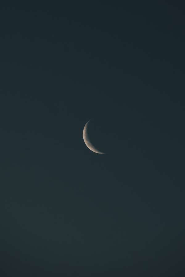 céu, lua, natureza, espaço, noite, crescente, lunar, astronomia, minguante, universo, ciência, preto, satélite, astrologia, luar, cheio, crescente, escuro, meio, cosmos, plano de fundo, gibosa, trimestre, fases, calendário, planeta, ciclo, luz, fase, branco, órbita, eclipse, novo, mês, esfera, lua, superfície, ilustração, sombra, azul, árvore, cósmica, brilhante, solar, vetorial, redondo, estrela, silhueta, paisagem, primeiro