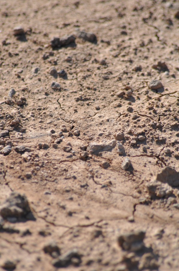 Textura, Texturas, Terra, Seca, Batata frita, Rachada, Clima árido, Terrain, Marrom, Rachada, Paisagem árida, Planos de fundo, Seca