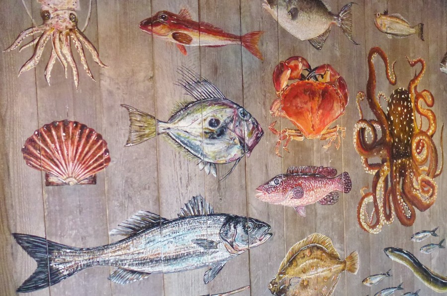 marinho, pintura, peixe, peixe, mural, paredes, arte,