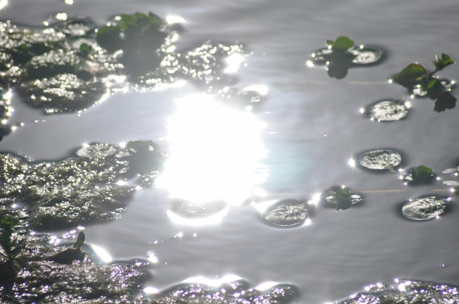 Textura, texturas, água, reflexão, lago