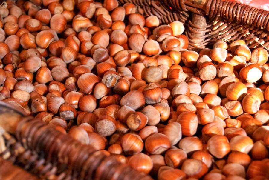 inteiro, nutrição, lanche, comida, noz, orgânica, avelã, vegetariano, saudável, plano de fundo, natural, semente, ingrediente, cru, avelã, natureza, vegan, dieta, casca de noz, mercado, kernel, padrão, fruta, marrom, fresco, colheita, grupo, isolado, descascado, macro, proteína, maduro, casca, avelãs, closeup, saboroso, branco, textura, pilha, objeto, seco, saúde, vitamina, avelã, gourmet, folha, aperitivo, esboço, mão