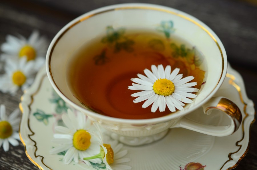 camomila, chá, infusão, remédio, natural, quente, bebida, flor, medicina,