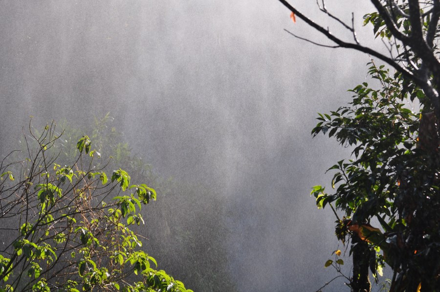 Argentina, Misiones, Iguazu, Parque Nacional, Cataratas do Iguaçu, Brasil, Água, Selva, Local turístico, Turismo, Umidade, Verde, Natureza, Chuvisco, Úmido, Vegetação,