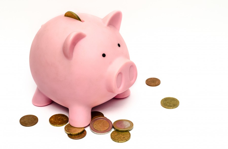 Porquinho, porco, moeda, poupar, dinheiro, fundo branco, ninguém, finanças, conceito,