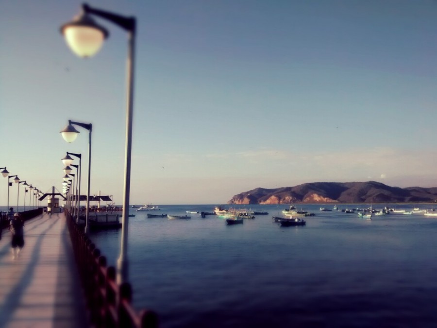 Puerto, lopez, equador, paisagem, pássaro, cais, costa, pacífico, américa latina, latim,