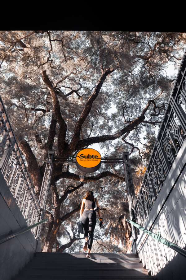mulher, jovem, sinal de metrô, estação de metrô, buenos aires argentina, estilo urbano, trem de metrô, rua urbana, pessoa, cidade, argentina, moderno, público, caminhada, movimento, viagem, metrô, metrô, passageiro, urbano, metrô, transporte , estação, transporte, movimento, negócios, buenos aires, trem, pessoas, escadas
