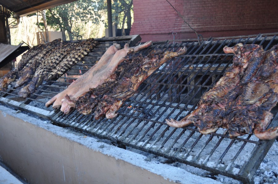 Assado, Grelha, Grelha, Comida Típica, Tradição, Campo, Carne, Costela, Ribs, EmbersCozinhado, Quente, Gordura