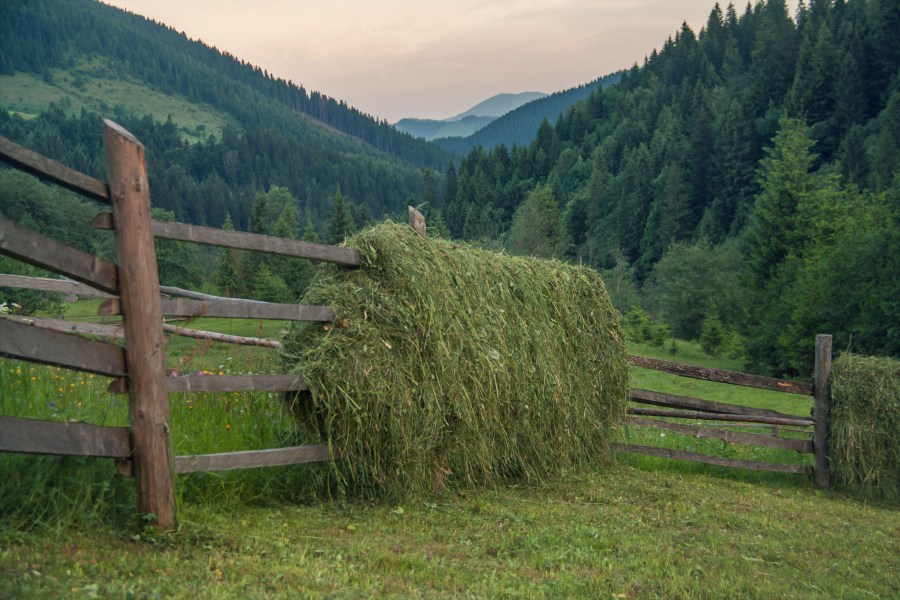 Europa, Europa, Ucrânia, campo, fazenda, campo, fazenda, cerca, cerca, cena rural, grama, bale, montanha, montanhas, paisagem, dia, verão, ninguém,