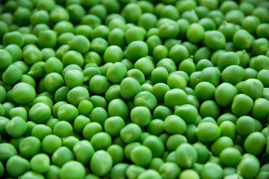ervilha, grão, ervilha, verde, fresco, fundo, fundo, closeup,