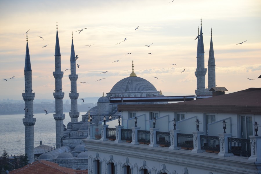 Istambul, Turquia, distrito, famoso, Sultanahmet, torre, viagens, vista, turco, Topkapi, noite, skyline, minarete, tradicional, Ásia, otomano, turista, arquitetura, panorama, pôr do sol, turismo, paisagem urbana, mesquita, urbano centro, cidade, azul, europa, paisagem